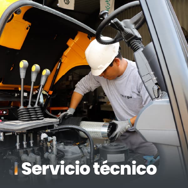 Servicio técnico Triton